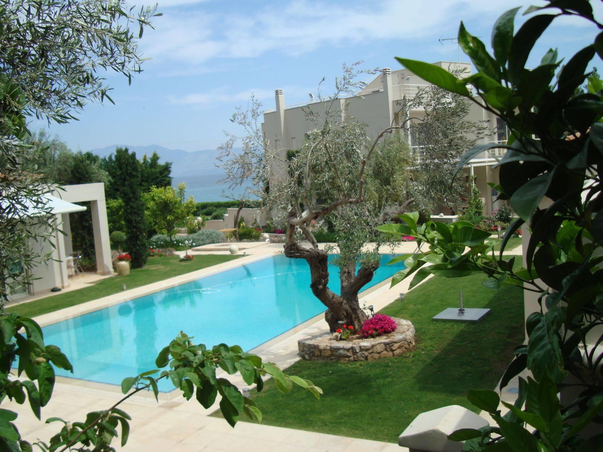 The Marble Resort Drosia  Dış mekan fotoğraf