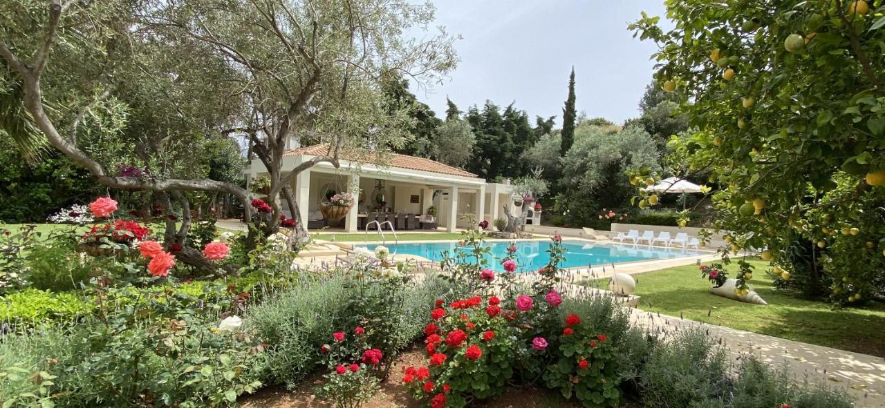 The Marble Resort Drosia  Dış mekan fotoğraf